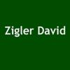 Zigler David L'union